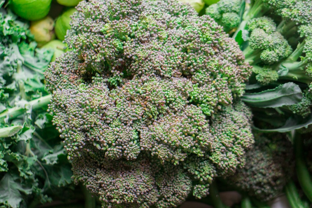 This week's garden harvest includes lots of greens! Join me as I show you what's growing in our Upstate New York garden during August! 