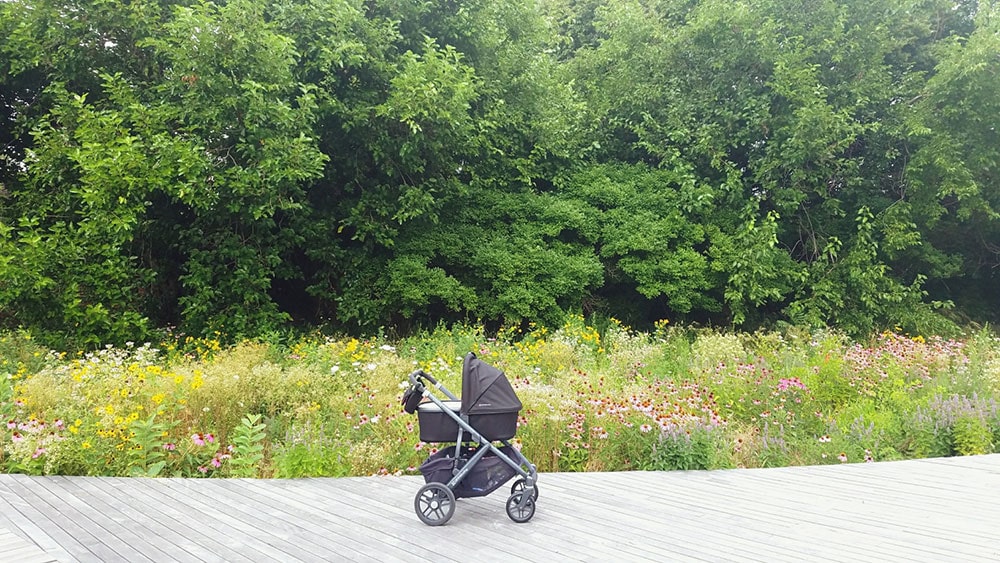 Looking for the perfect NYC stroller? Get the UPPAbaby Vista! You won't regret it! Read this post for a full review of why it's the perfect city dweller stroller to grow with!
