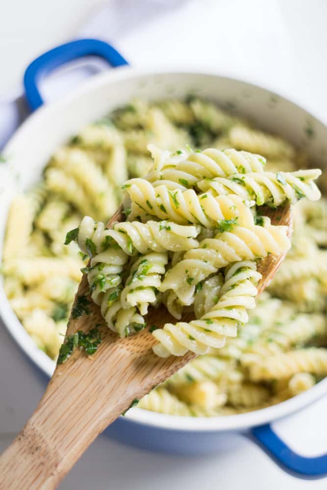 Parsley Parmesan Pasta recipe that takes 15 minutes to make and costs less than $4.   Blend the parsley with other simple ingredients to make a nut free pesto sauce and then pour on top of pasta! Your entire family will like this fresh parsley pasta dinner.
