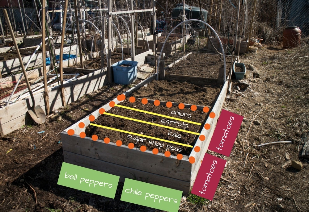 4x4 garden layout