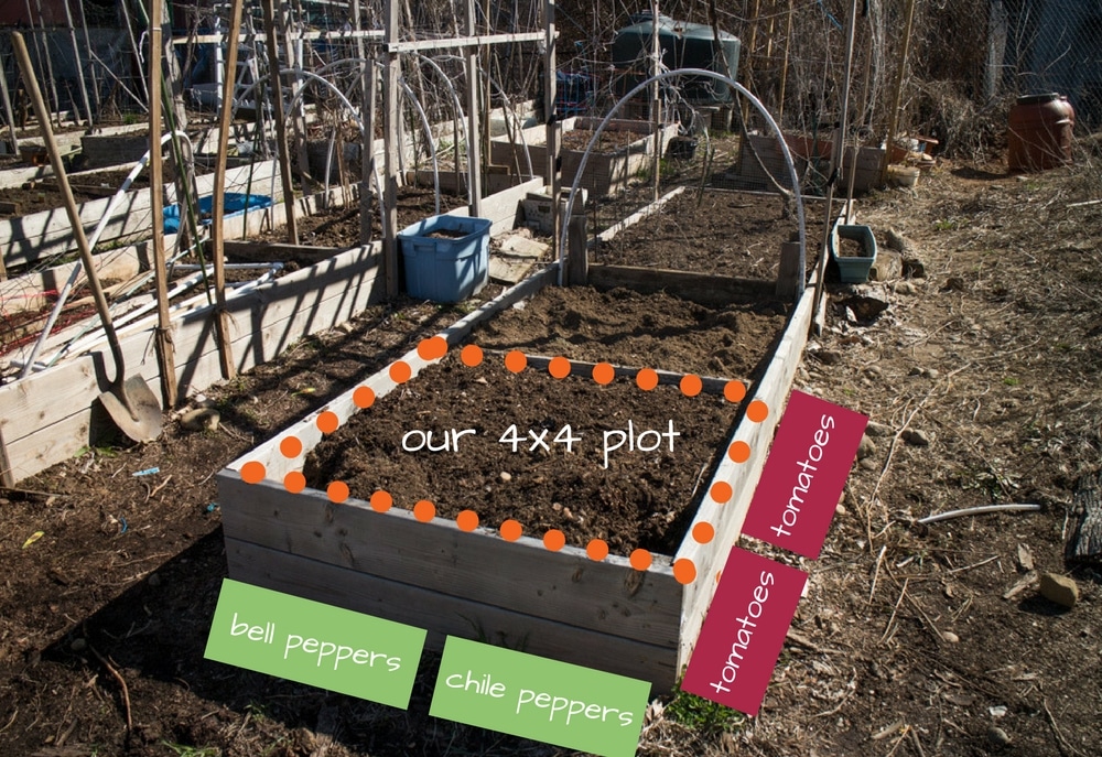 4x4 garden plot