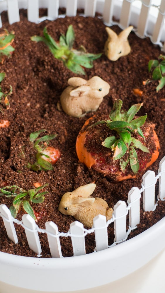 Strawberry Carrot Cake Garden