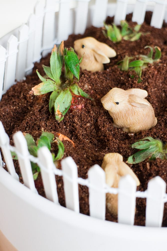EDIBLE Chocolate Carrot Strawberry GARDEN is the perfect DIY Mother's day gift from kids! This simple craft uses chocolate cookies for dirt and chocolate covered strawberries for carrots! Place a few craft rabbits in the dirt and you have a beautiful edible vegetable garden! Great for toddlers,  preschoolers and older children to make for Mothers and Grandmas who love to garden!