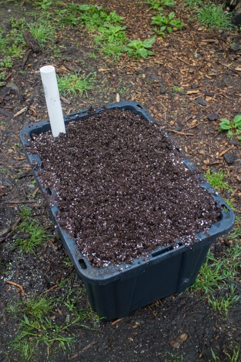 How To Make a Sub Irrigated Planter - Make Your Own Container Garden!