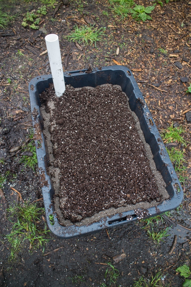 How To Make a Sub Irrigated Planter! We grow HUNDREDS of pounds of vegetables in our planters! Follow these easy DIY step by step instructions on how to make your own container garden. These planters are perfect for gardens of any size, and they're cheap to make!