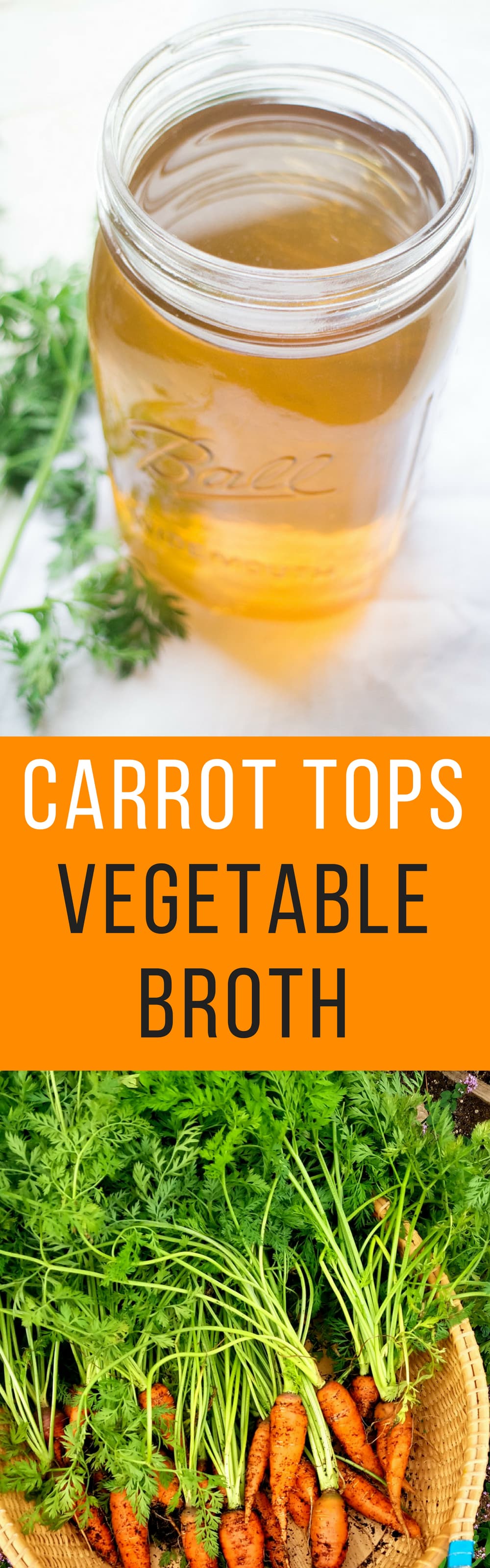 VEGETABLE BROTH made with carrot tops!  This easy homemade recipe uses carrot greens to make a healthy vegetarian broth! Carrot greens provide amazing health benefits so they're great to cook with!  