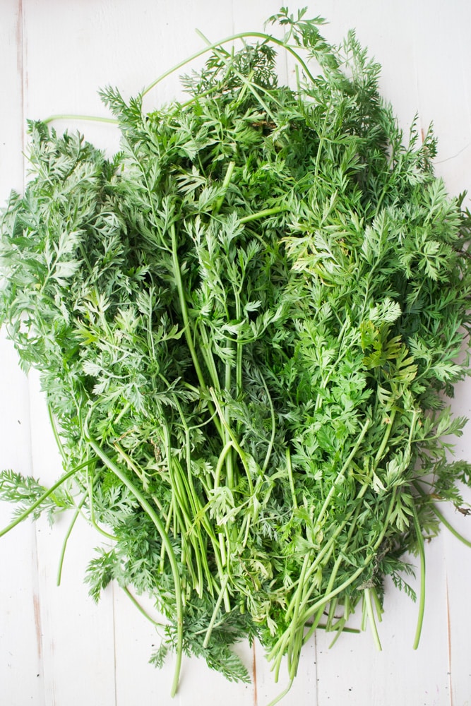 carrot greens on white table