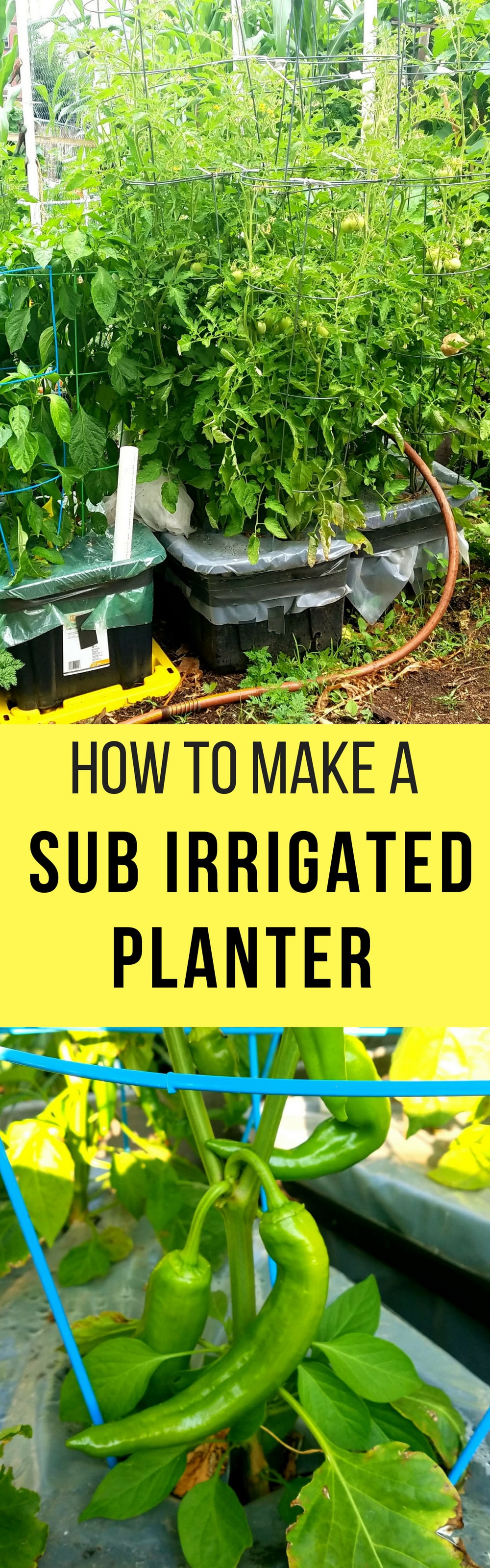 How To Make a Sub Irrigated Planter! We grow HUNDREDS of pounds of vegetables in our planters! Follow these easy DIY step by step instructions on how to make your own container garden. These planters are perfect for gardens of any size, and they're cheap to make!