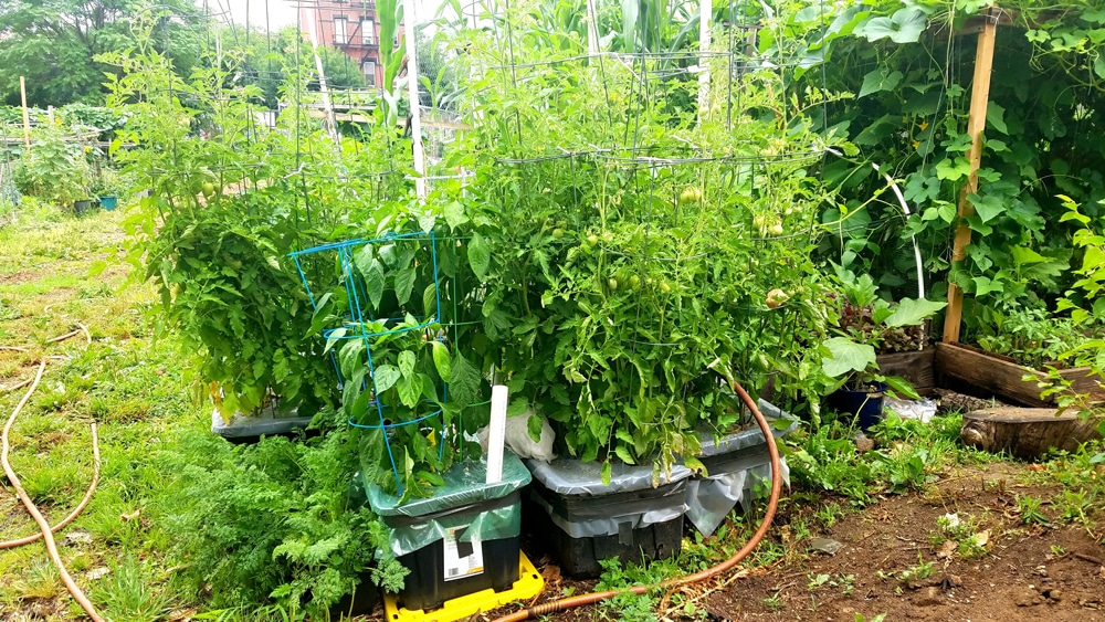 Sub Irrigated Planter Garden