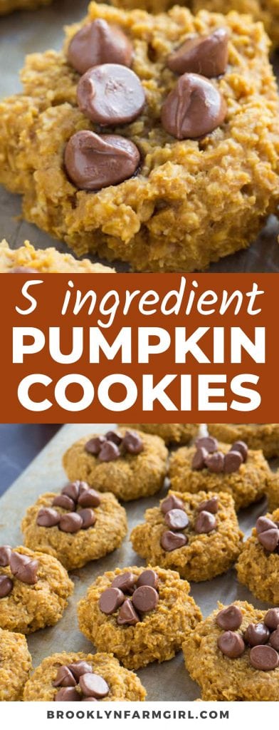 EASY to make 5 Ingredient Healthy Pumpkin Cookies recipe! These soft Pumpkin Oatmeal Cookies are sugar free, instead using maple syrup!  Make sure to add chocolate chips on top to make them extra delicious! 