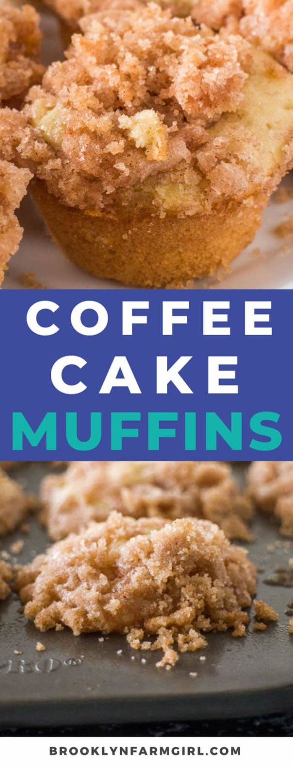 Mini Coffee Cake Muffins Recipe Brooklyn Farm Girl