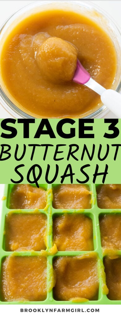 Stage 2 and 3 Butternut Squash Baby Food is pureed butternut squash mixed with lots of fruits.  Picky baby and toddler approved!