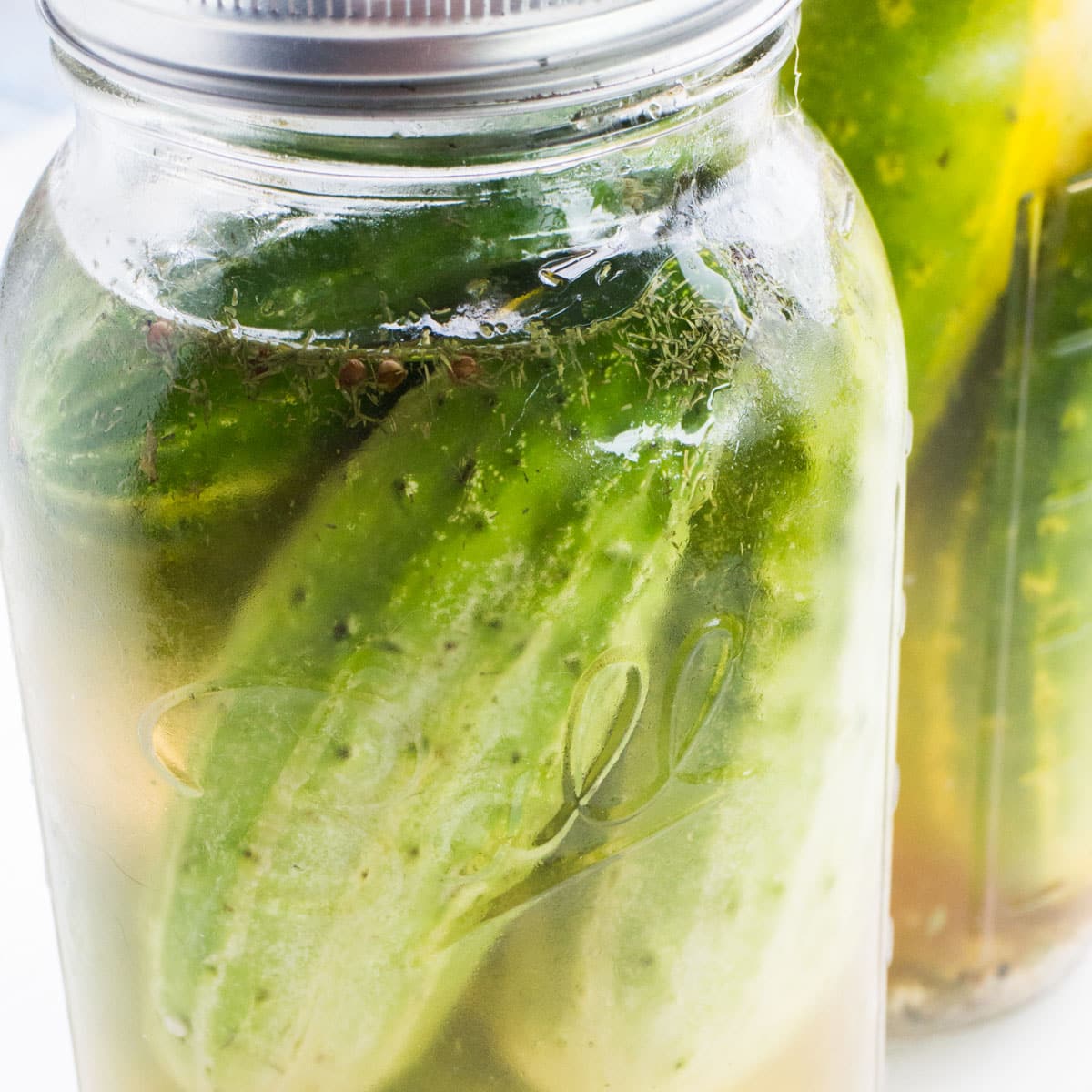 Pickling Cucumbers — Melissas Produce