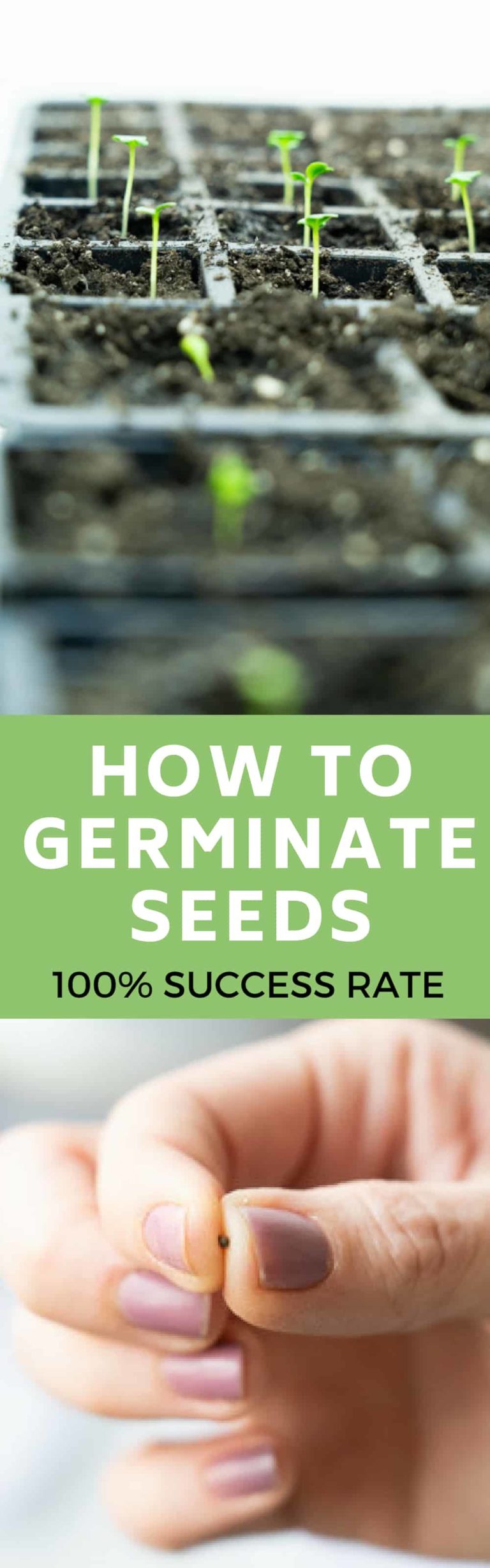 How to Use a Heat Mat and Thermometer for Seed Germination