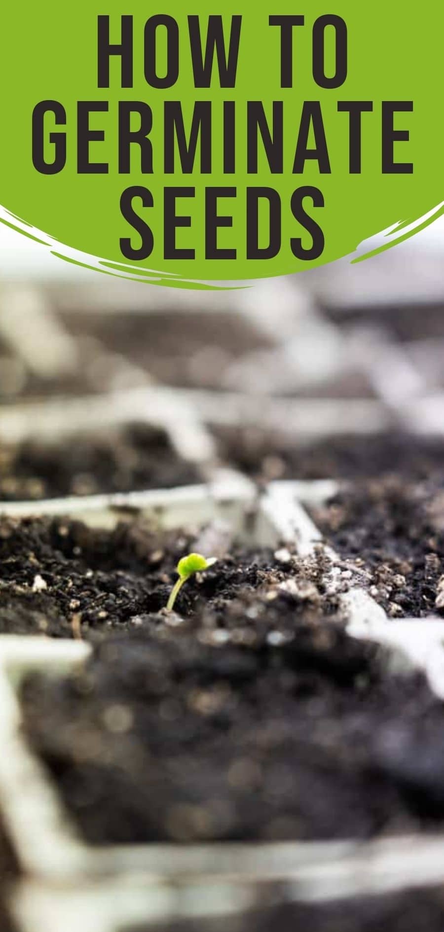 How to Use a Heat Mat and Thermometer for Seed Germination