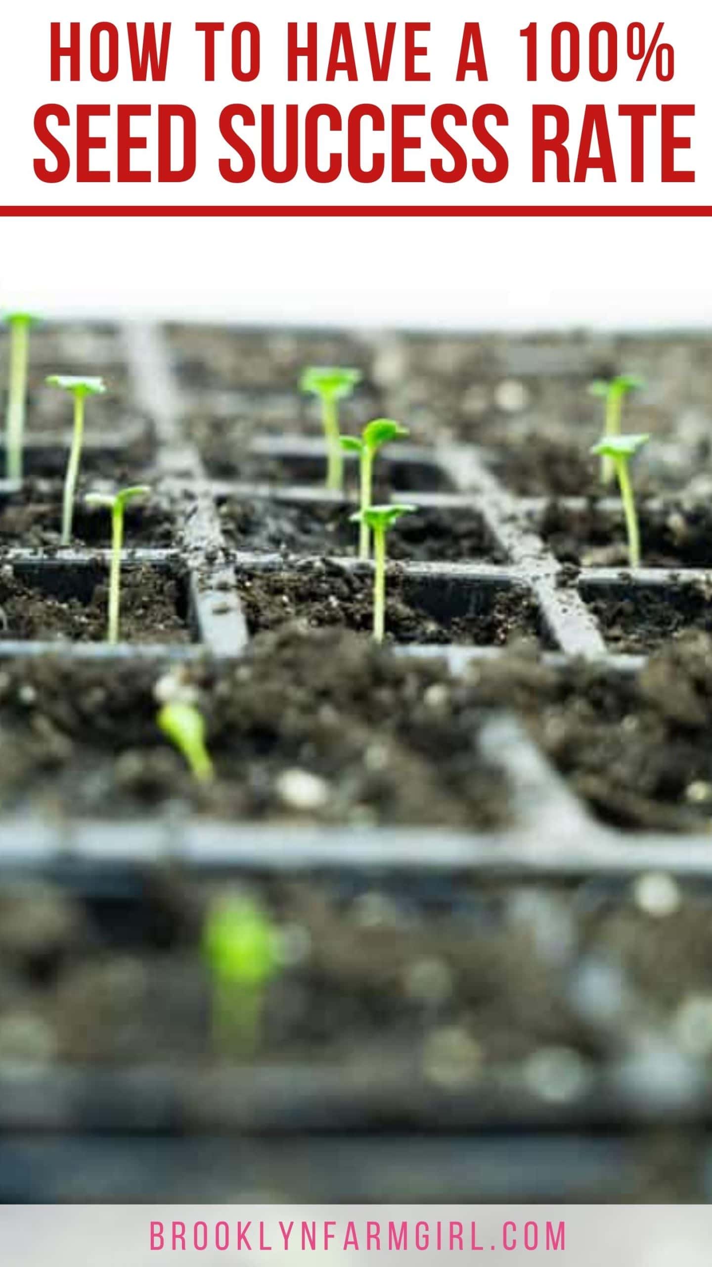How to Use a Heat Mat and Thermometer for Seed Germination