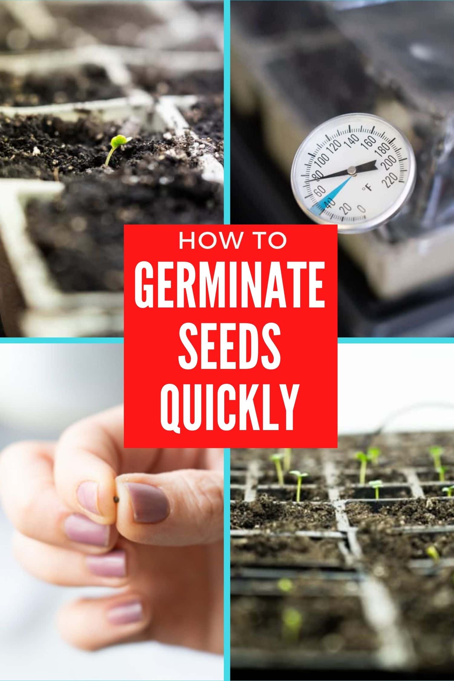 How to Use a Heat Mat and Thermometer for Seed Germination