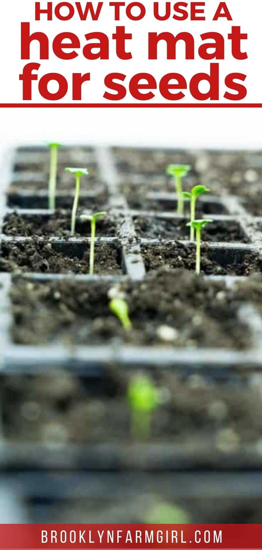 How to Use a Heat Mat and Thermometer for Seed Germination