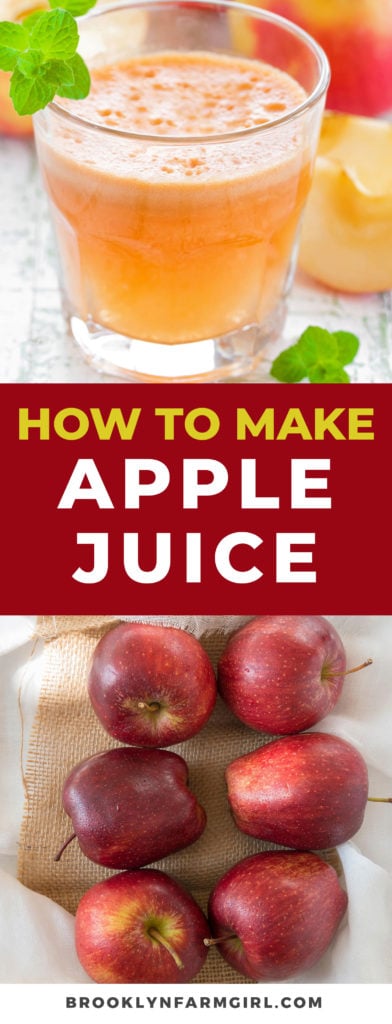 apple juice in juicer recipe