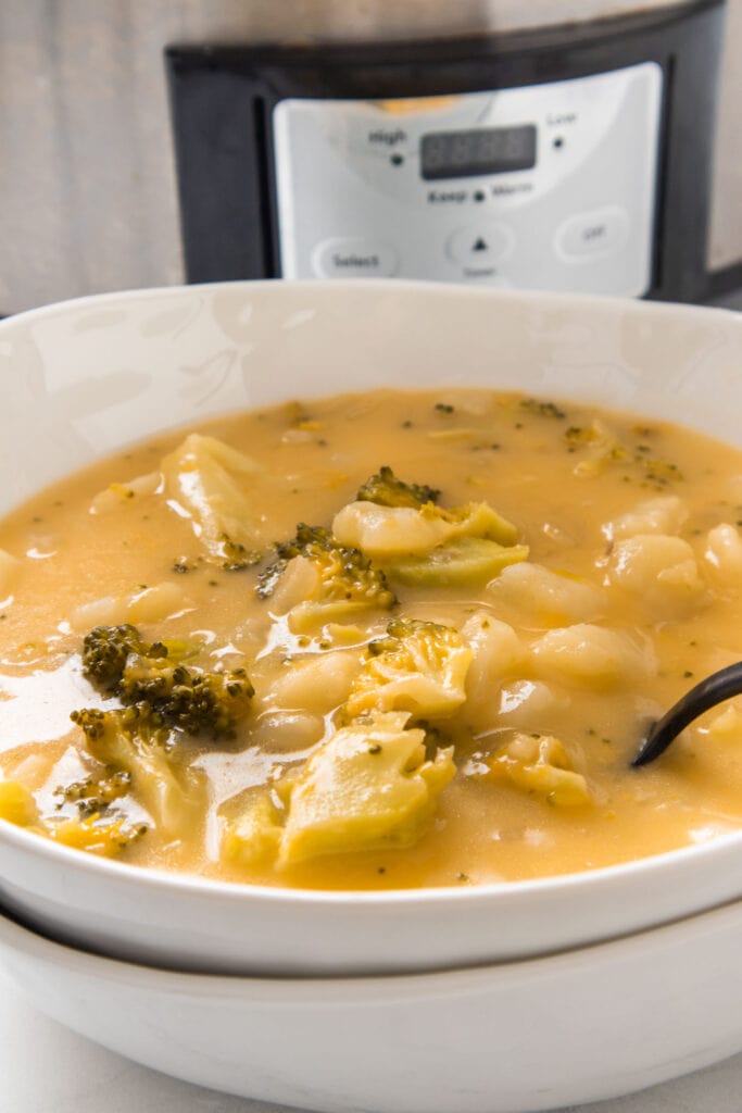 broccoli cheese and potato soup in bowl in front of slow cooker.