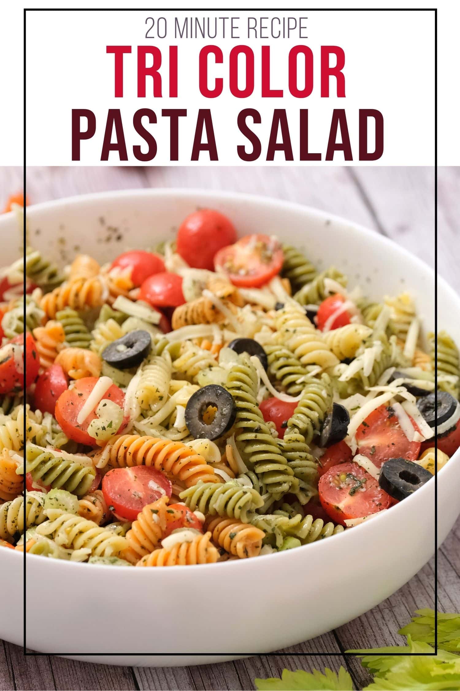 Tri Color Italian Pasta Salad Easy Recipe with Italian Dressing and