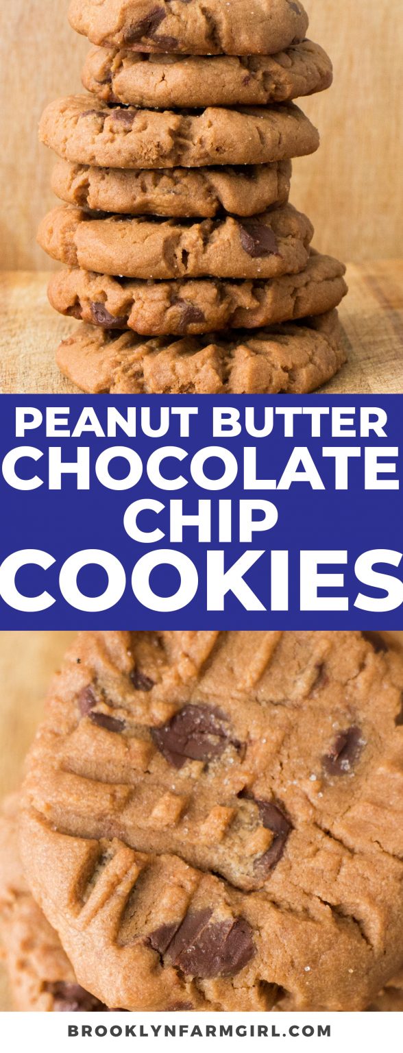 Chocolate Chip Peanut Butter Cookies Easy Homemade Recipe