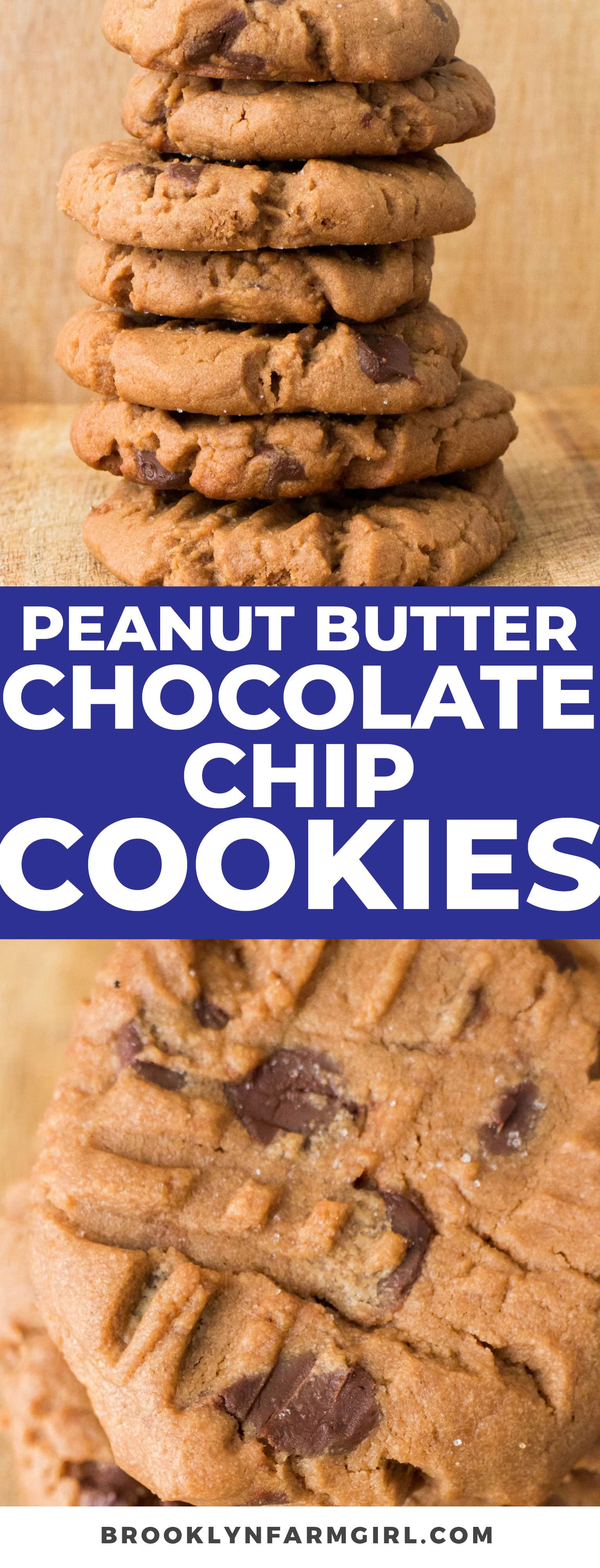 Chocolate Chip Peanut Butter Cookies Easy Homemade Recipe