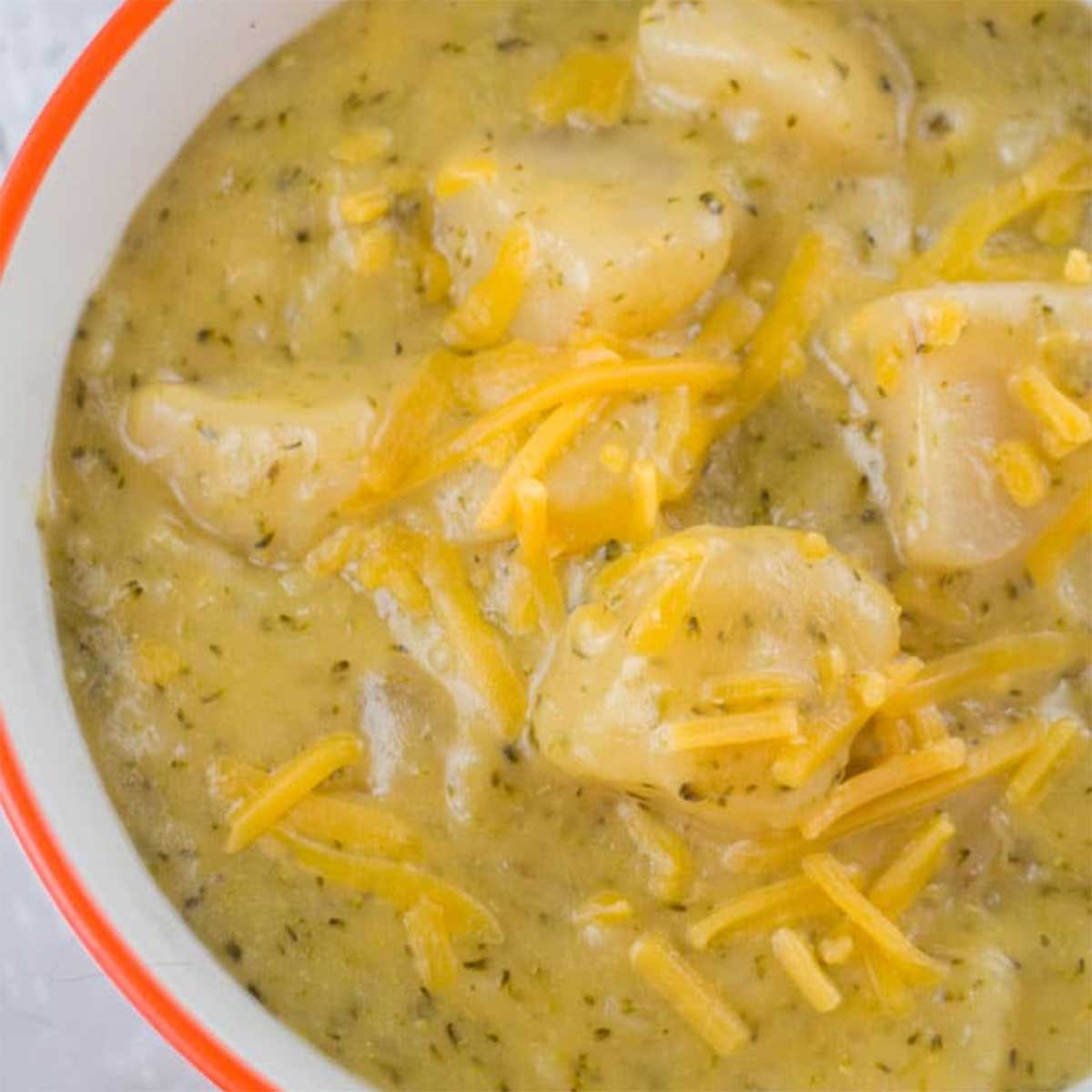 Slow Cooker Broccoli Cheese and Potato Soup Easy Crockpot Recipe