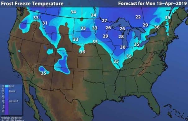 Frost Dates for Vegetable Garden