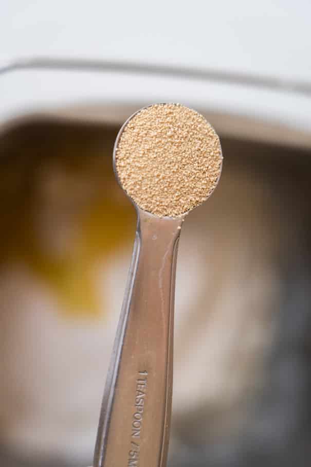 active dry yeast on spoon