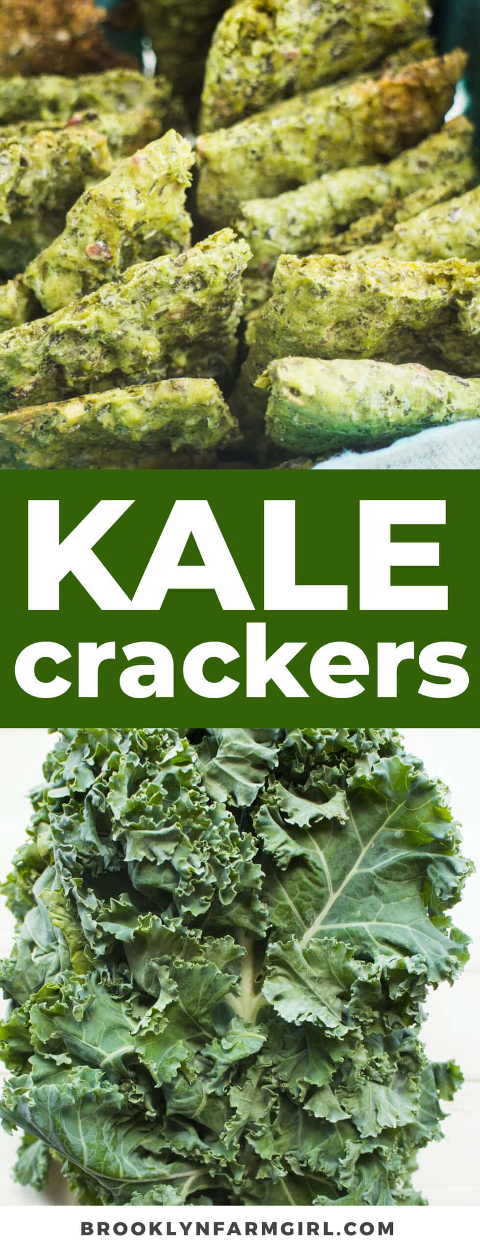 Homemade Kale Crackers Healthy Snack Recipe