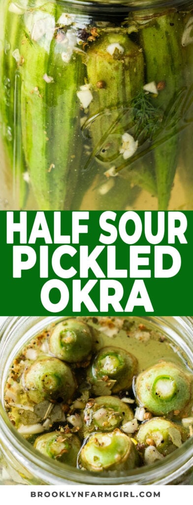 These pickled okra are fresh, crunchy, and so easy to make in the refrigerator - no canning needed.  Made with a simple salt water brine and spices, save this recipe if you're growing okra in the garden!