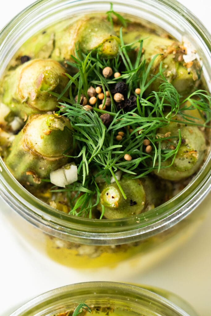 fresh dill and spices being added into jar.