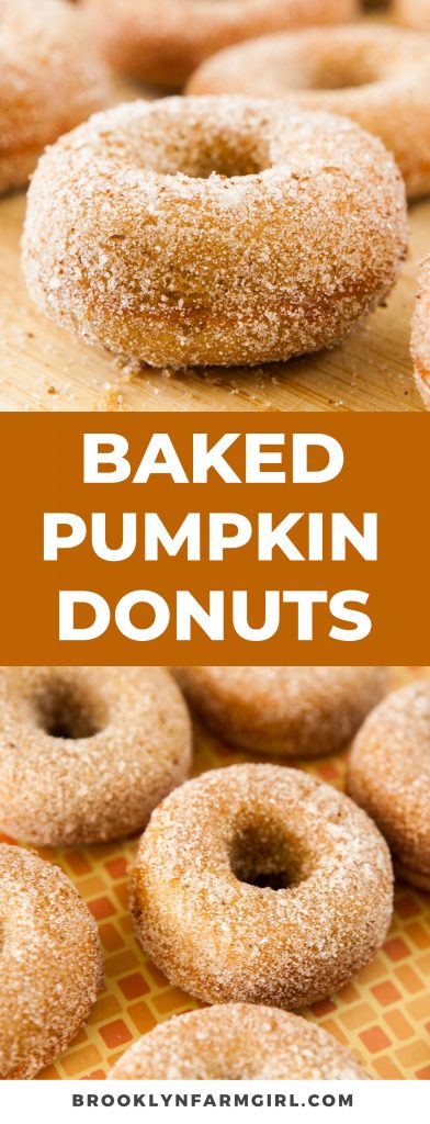 Baked Pumpkin Donuts coated in cinnamon sugar! This easy homemade recipe makes 1 dozen soft, fluffy donuts that are ready in 30 minutes!  One of the BEST Fall Pumpkin dessert recipes!