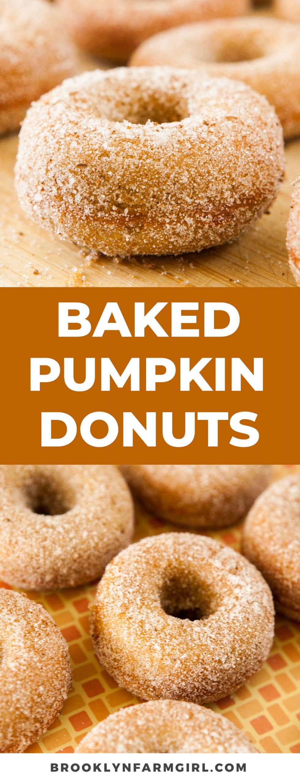 Baked Pumpkin Donuts - Brooklyn Farm Girl