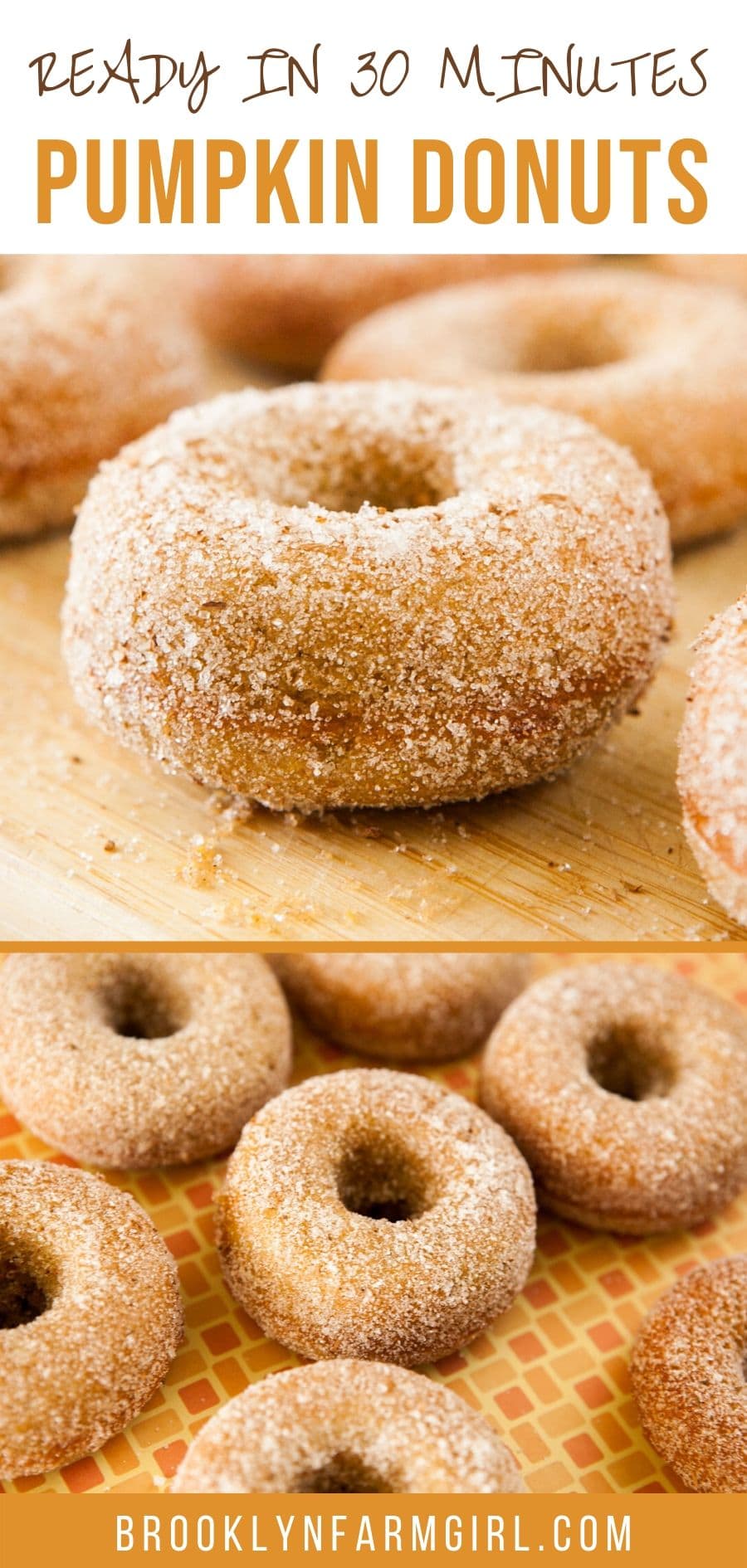 Baked Pumpkin Donuts - Brooklyn Farm Girl