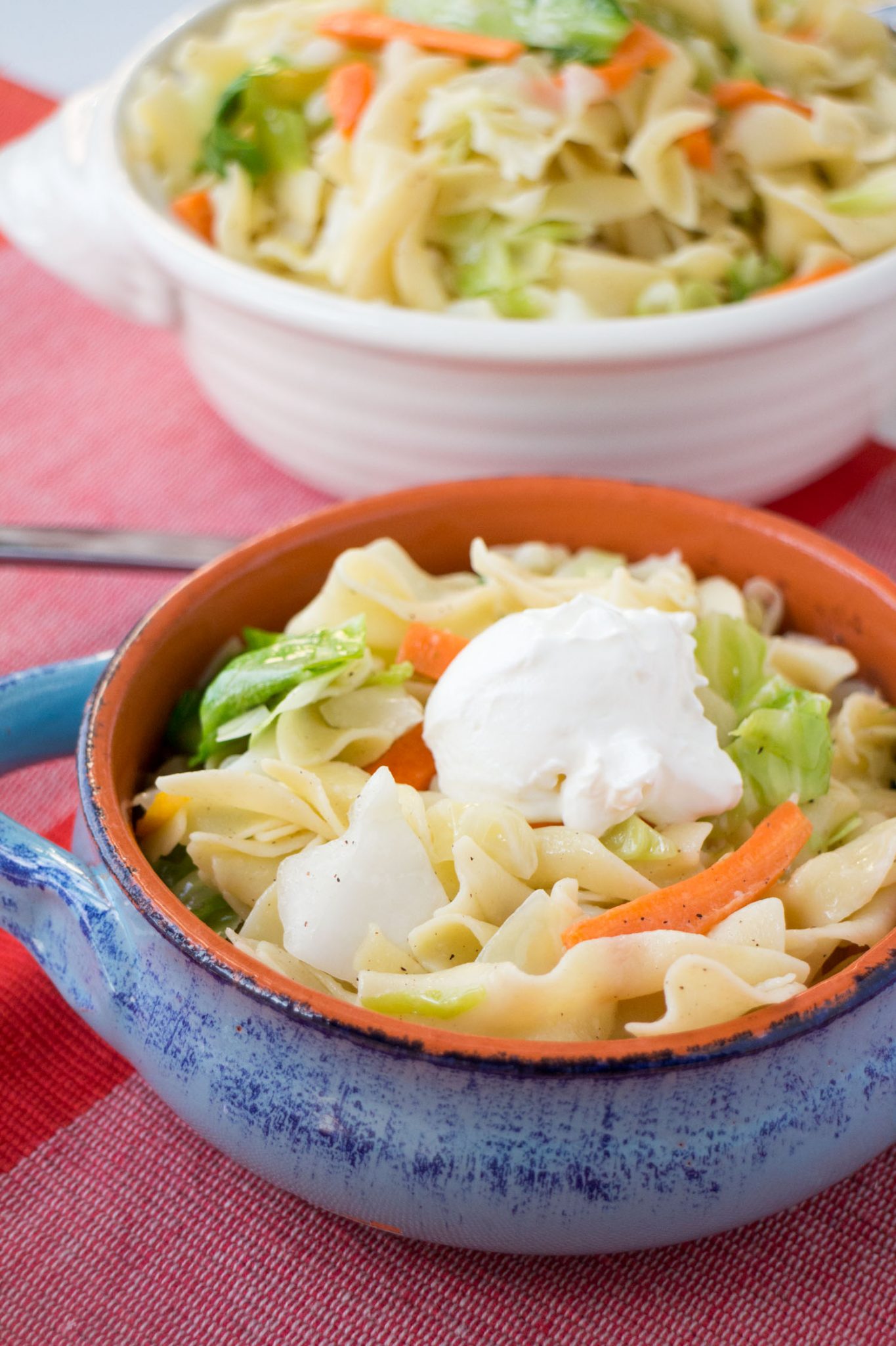 Cabbage and Noodles Brooklyn Farm Girl