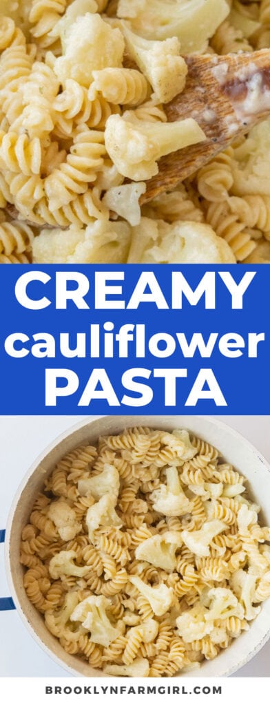 Making your weeknight dinner is a breeze with this quick & easy Creamy Pasta With Cauliflower! It is a delicious dish made of rotini noodles and tender cauliflower florets coated in a perfectly seasoned, creamy white sauce.