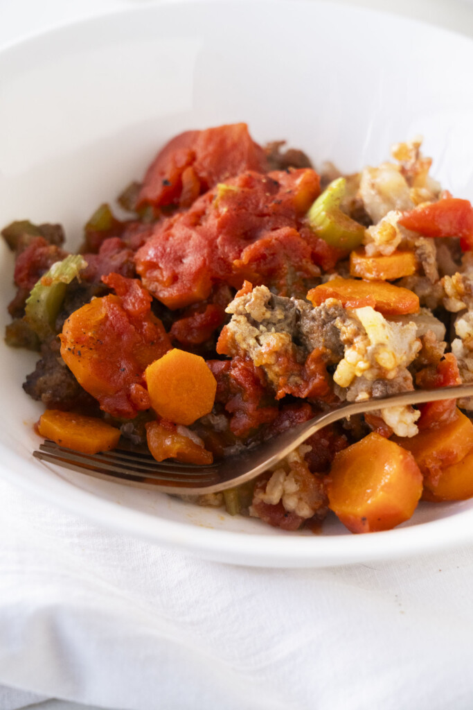 A white bowl filled with a colorful stew containing chunks of carrots, tomatoes, rice, ground meat, and celery, with a fork resting inside the bowl.
