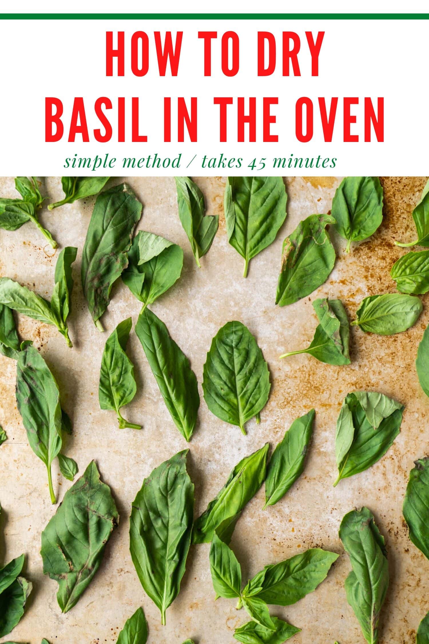 Oven-Dried Basil: A Step-by-Step Guide on How to Dry Out Basil in the ...