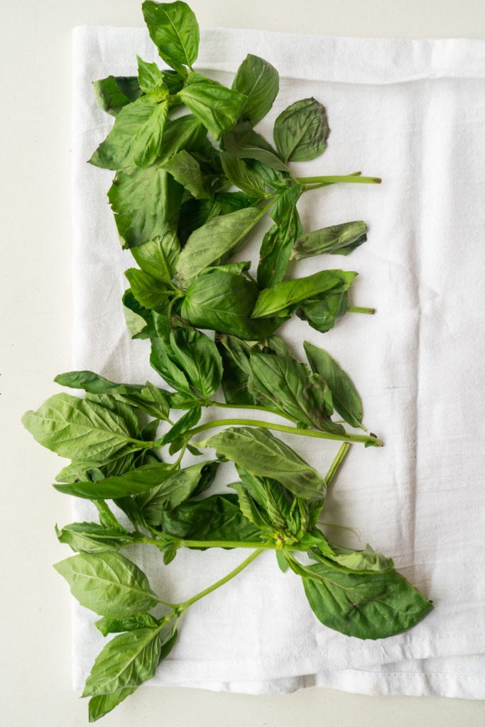 Easy step by step instructions on how to dry basil in the oven. This method quickly dries basil leaves in 45 minutes.  