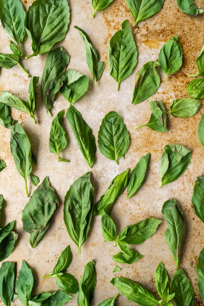 Easy step by step instructions on how to dry basil in the oven. This method quickly dries basil leaves in 45 minutes.  