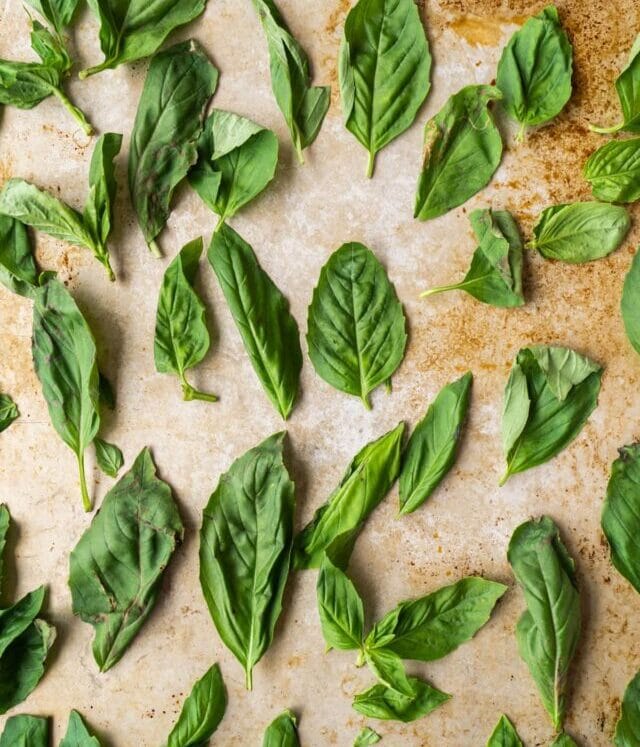 cropped-How-to-Dry-Basil-in-the-Oven_2.jpg
