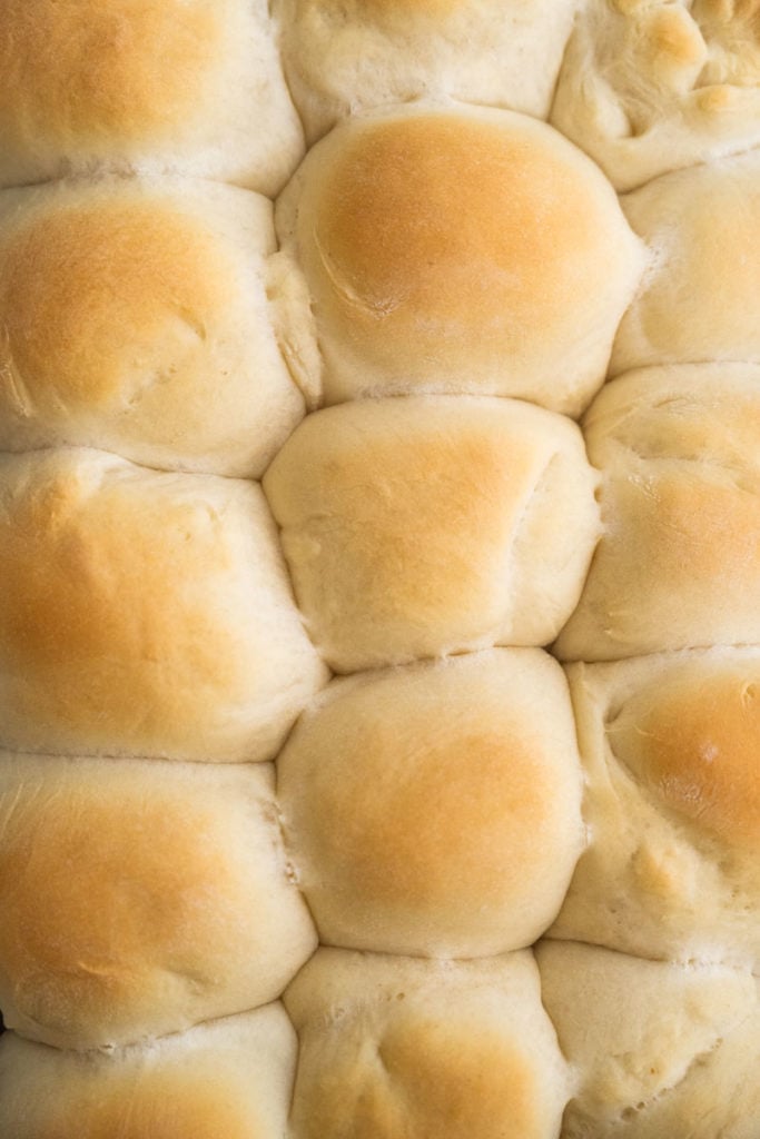 baked dinner rolls in pan