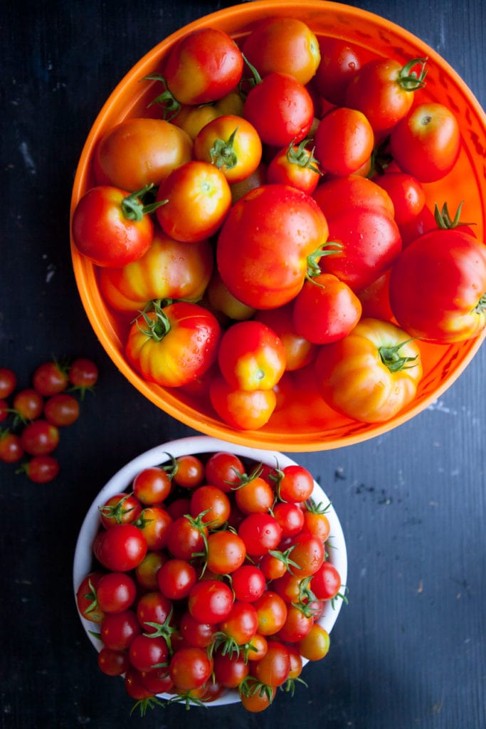 washed tomatoes in bowl