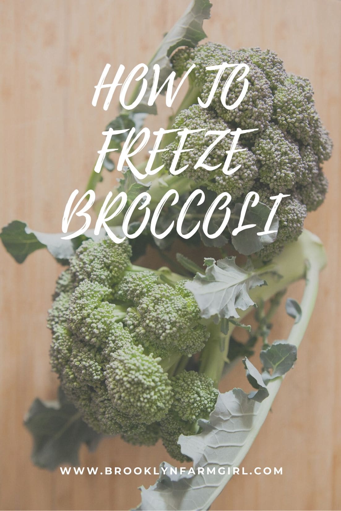 How to Freeze Broccoli for LongTerm Use Brooklyn Farm Girl