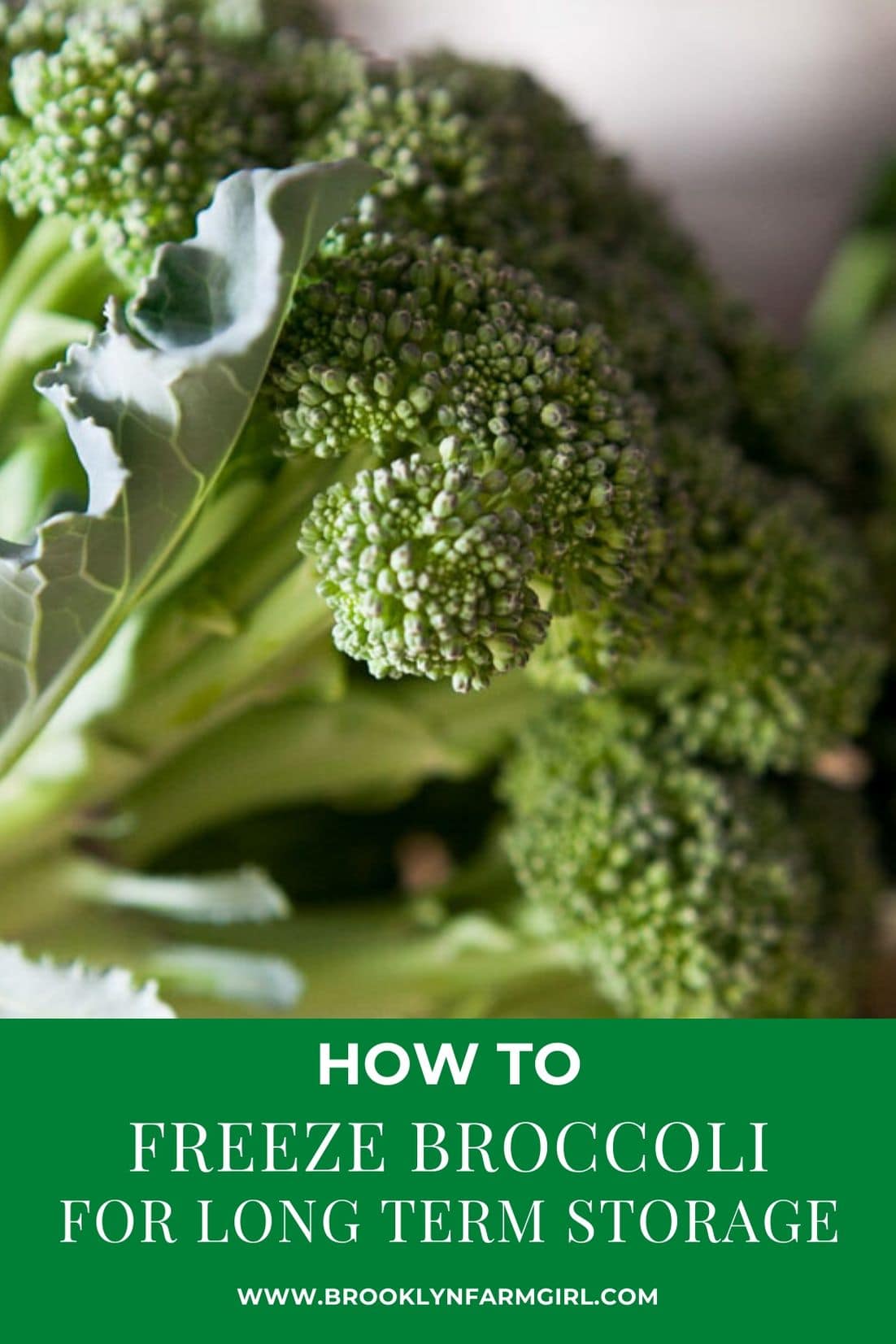 How to Freeze Broccoli for LongTerm Use Brooklyn Farm Girl