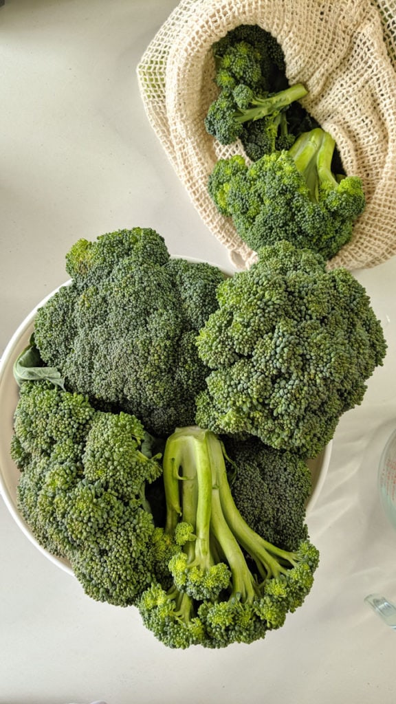 fresh broccoli picked from garden in bowl