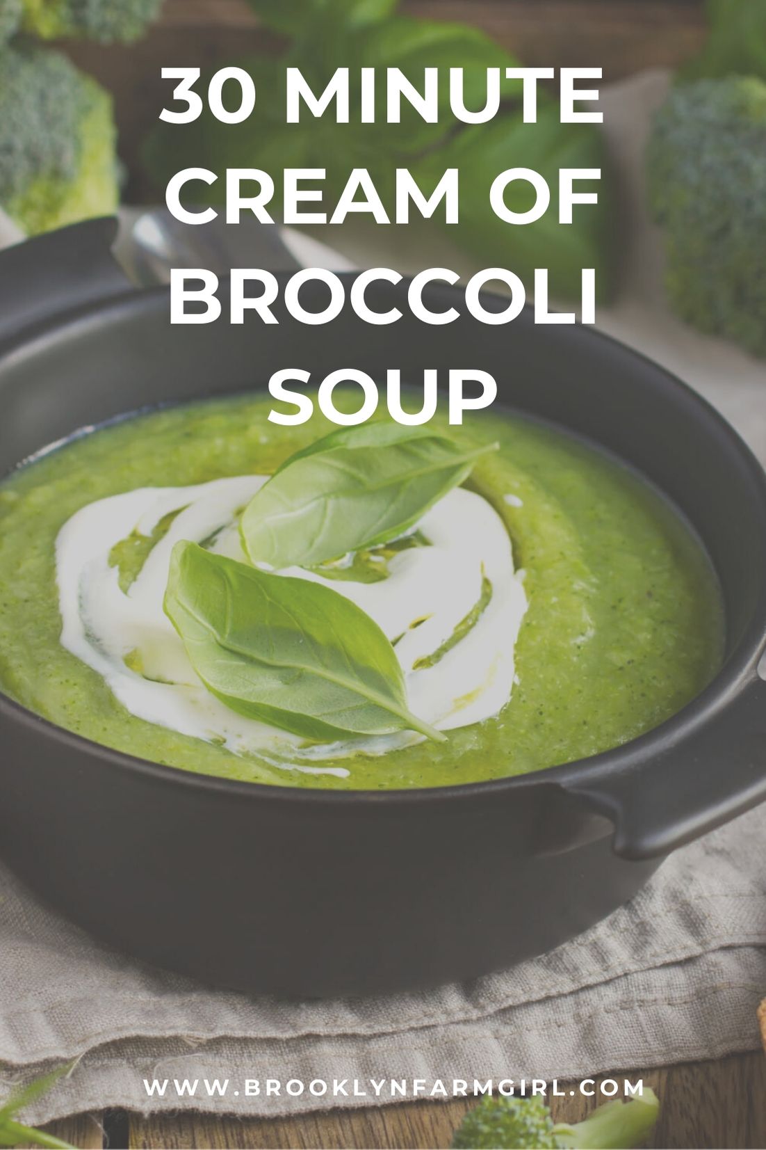 Cream of Broccoli Soup - Brooklyn Farm Girl