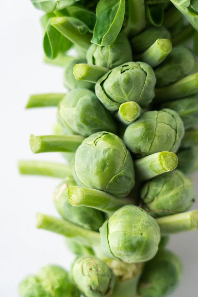 brussels sprouts on stalk